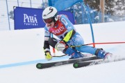 FIS Baltijas kauss 3.posms, LV & EE čempionāts milzu slalomā , Foto: E.Lukšo