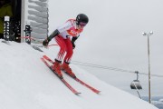 FIS Baltijas kauss 3.posms, LV & EE čempionāts milzu slalomā , Foto: E.Lukšo