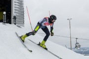 FIS Baltijas kauss 3.posms, LV & EE čempionāts milzu slalomā , Foto: E.Lukšo