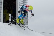 FIS Baltijas kauss 3.posms, LV & EE čempionāts milzu slalomā , Foto: E.Lukšo