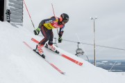 FIS Baltijas kauss 3.posms, LV & EE čempionāts milzu slalomā , Foto: E.Lukšo