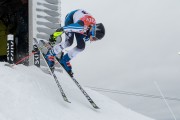 FIS Baltijas kauss 3.posms, LV & EE čempionāts milzu slalomā , Foto: E.Lukšo