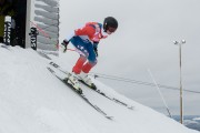 FIS Baltijas kauss 3.posms, LV & EE čempionāts milzu slalomā , Foto: E.Lukšo