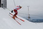 FIS Baltijas kauss 3.posms, LV & EE čempionāts milzu slalomā , Foto: E.Lukšo