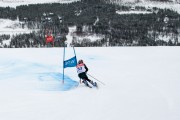 FIS Baltijas kauss 3.posms, LV & EE čempionāts milzu slalomā , Foto: E.Lukšo