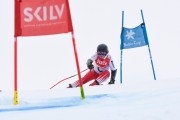 FIS Baltijas kauss 3.posms, LV & EE čempionāts milzu slalomā , Foto: E.Lukšo