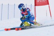 FIS Baltijas kauss 3.posms, LV & EE čempionāts milzu slalomā , Foto: E.Lukšo