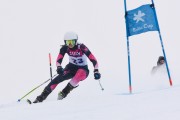 FIS Baltijas kauss 3.posms, LV & EE čempionāts milzu slalomā , Foto: E.Lukšo