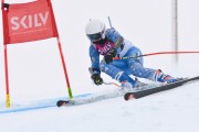 FIS Baltijas kauss 3.posms, LV & EE čempionāts milzu slalomā , Foto: E.Lukšo