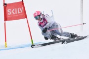 FIS Baltijas kauss 3.posms, LV & EE čempionāts milzu slalomā , Foto: E.Lukšo