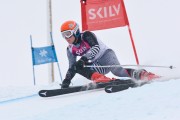 FIS Baltijas kauss 3.posms, LV & EE čempionāts milzu slalomā , Foto: E.Lukšo