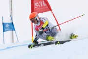 FIS Baltijas kauss 3.posms, LV & EE čempionāts milzu slalomā , Foto: E.Lukšo