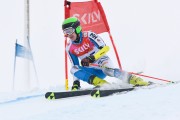 FIS Baltijas kauss 3.posms, LV & EE čempionāts milzu slalomā , Foto: E.Lukšo