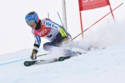 FIS Baltijas kauss 3.posms, LV & EE čempionāts milzu slalomā , Foto: E.Lukšo