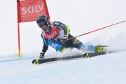 FIS Baltijas kauss 3.posms, LV & EE čempionāts milzu slalomā , Foto: E.Lukšo