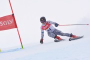 FIS Baltijas kauss 3.posms, LV & EE čempionāts milzu slalomā , Foto: E.Lukšo