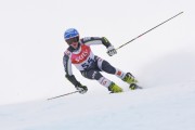 FIS Baltijas kauss 3.posms, LV & EE čempionāts milzu slalomā , Foto: E.Lukšo