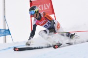 FIS Baltijas kauss 3.posms, LV & EE čempionāts milzu slalomā , Foto: E.Lukšo