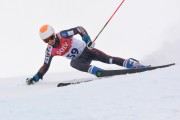 FIS Baltijas kauss 3.posms, LV & EE čempionāts milzu slalomā , Foto: E.Lukšo