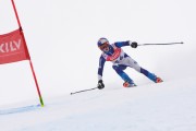 FIS Baltijas kauss 3.posms, LV & EE čempionāts milzu slalomā , Foto: E.Lukšo