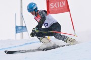 FIS Baltijas kauss 3.posms, LV & EE čempionāts milzu slalomā , Foto: E.Lukšo