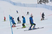 FIS Baltijas kauss 3.posms, Latvijas čempionāts slalomā, Foto: E.Lukšo