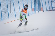 FIS Baltijas kauss 3.posms, Latvijas čempionāts slalomā, Foto: E.Lukšo