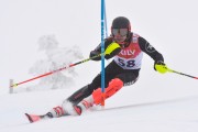 FIS Baltijas kauss 3.posms, Latvijas čempionāts slalomā, Foto: E.Lukšo