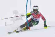 FIS Baltijas kauss 3.posms, Latvijas čempionāts slalomā, Foto: E.Lukšo