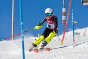 FIS Baltijas kauss 3.posms, EE čempionāts slalomā un PSL kvalifikācija, Foto: E.Lukšo