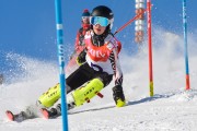 FIS Baltijas kauss 3.posms, EE čempionāts slalomā un PSL kvalifikācija, Foto: E.Lukšo