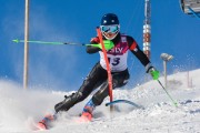 FIS Baltijas kauss 3.posms, EE čempionāts slalomā un PSL kvalifikācija, Foto: E.Lukšo