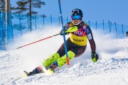 FIS Baltijas kauss 3.posms, EE čempionāts slalomā un PSL kvalifikācija, Foto: E.Lukšo