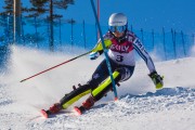 FIS Baltijas kauss 3.posms, EE čempionāts slalomā un PSL kvalifikācija, Foto: E.Lukšo