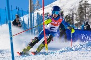 FIS Baltijas kauss 3.posms, EE čempionāts slalomā un PSL kvalifikācija, Foto: E.Lukšo