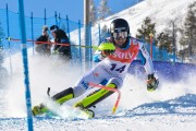 FIS Baltijas kauss 3.posms, EE čempionāts slalomā un PSL kvalifikācija, Foto: E.Lukšo