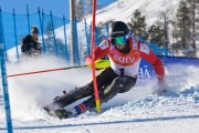 FIS Baltijas kauss 3.posms, EE čempionāts slalomā un PSL kvalifikācija, Foto: E.Lukšo