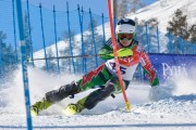 FIS Baltijas kauss 3.posms, EE čempionāts slalomā un PSL kvalifikācija, Foto: E.Lukšo