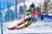 FIS Baltijas kauss 3.posms, EE čempionāts slalomā un PSL kvalifikācija, Foto: E.Lukšo