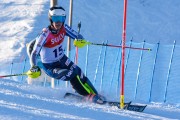 FIS Baltijas kauss 3.posms, EE čempionāts slalomā un PSL kvalifikācija, Foto: E.Lukšo