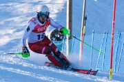 FIS Baltijas kauss 3.posms, EE čempionāts slalomā un PSL kvalifikācija, Foto: E.Lukšo