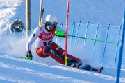 FIS Baltijas kauss 3.posms, EE čempionāts slalomā un PSL kvalifikācija, Foto: E.Lukšo