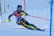 FIS Baltijas kauss 3.posms, EE čempionāts slalomā un PSL kvalifikācija, Foto: E.Lukšo