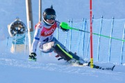 FIS Baltijas kauss 3.posms, EE čempionāts slalomā un PSL kvalifikācija, Foto: E.Lukšo