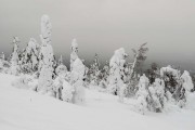 FIS Baltic Cup 2018 3. posms, sagatavošanās diena, Foto: Emīls Lukšo