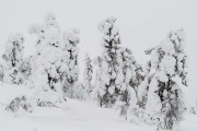 FIS Baltic Cup 2018 3. posms, sagatavošanās diena, Foto: Emīls Lukšo