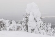 FIS Baltic Cup 2018 3. posms, sagatavošanās diena, Foto: Emīls Lukšo