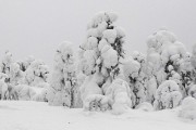 FIS Baltic Cup 2018 3. posms, sagatavošanās diena, Foto: Emīls Lukšo