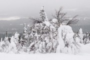 FIS Baltic Cup 2018 3. posms, sagatavošanās diena, Foto: Emīls Lukšo