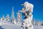 FIS Baltic Cup 2018 3. posms, Super-G treniņš, Foto: Emīls Lukšo